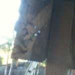 Termite Rear Deck Railing Before